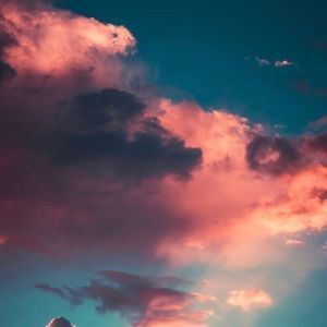 Meet your Posher, Sierra